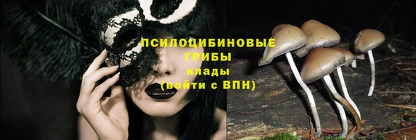 СК Алзамай