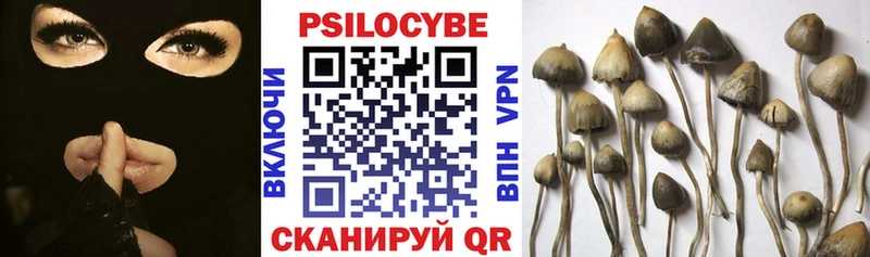 цены наркотик  Чердынь  Псилоцибиновые грибы прущие грибы 